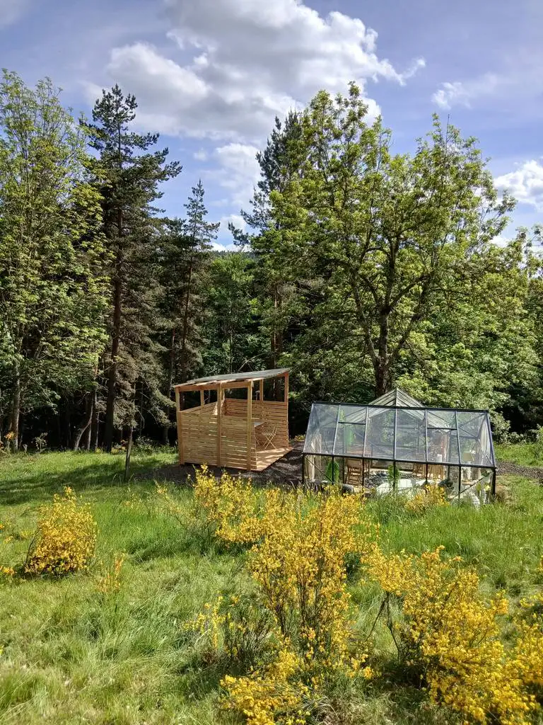 aube-des-bois-J4