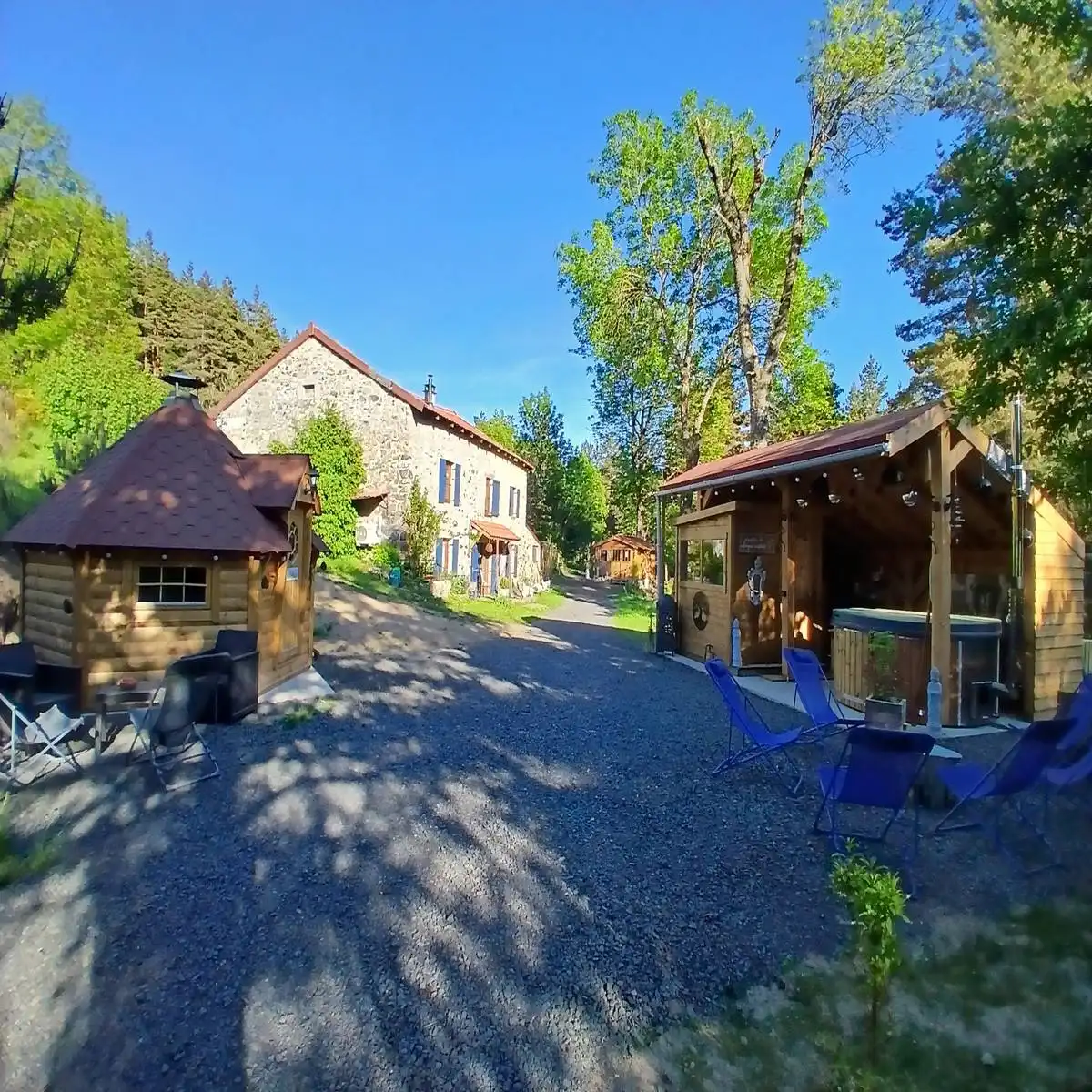 vie sauvage 6