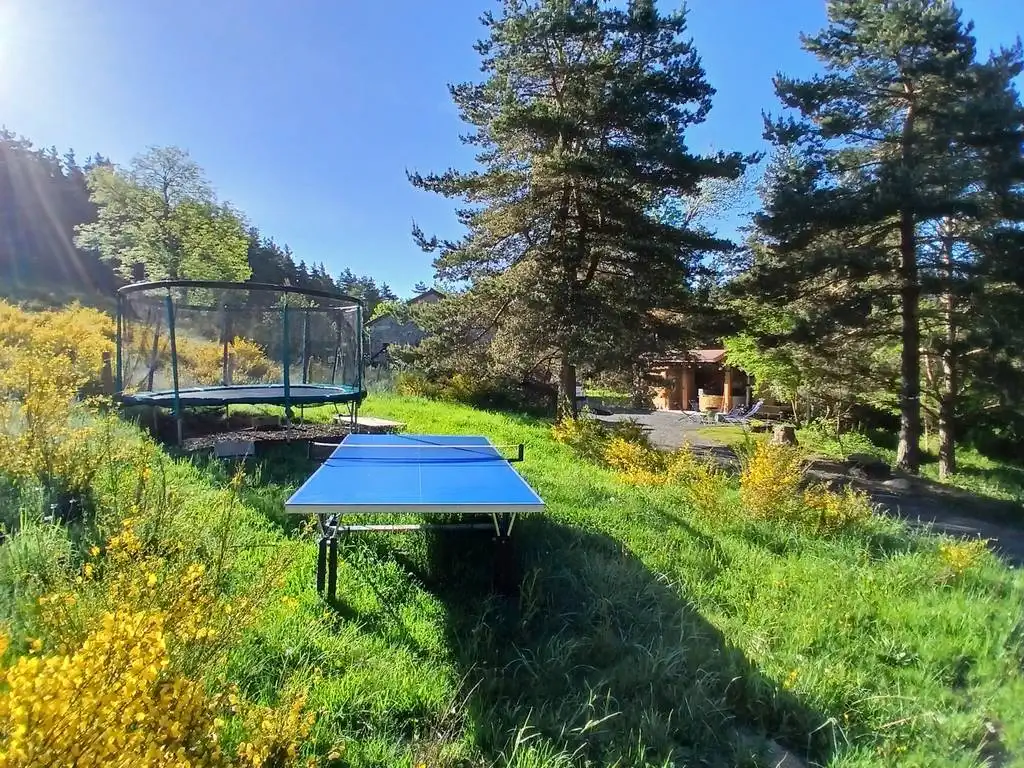 ping-pong trampoline