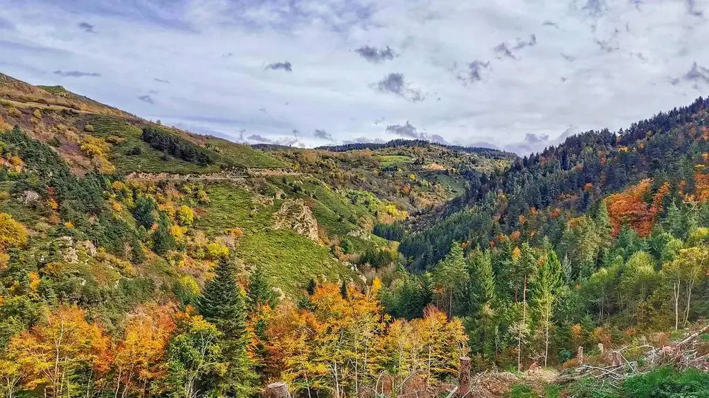 Vallée de l'Aubépin